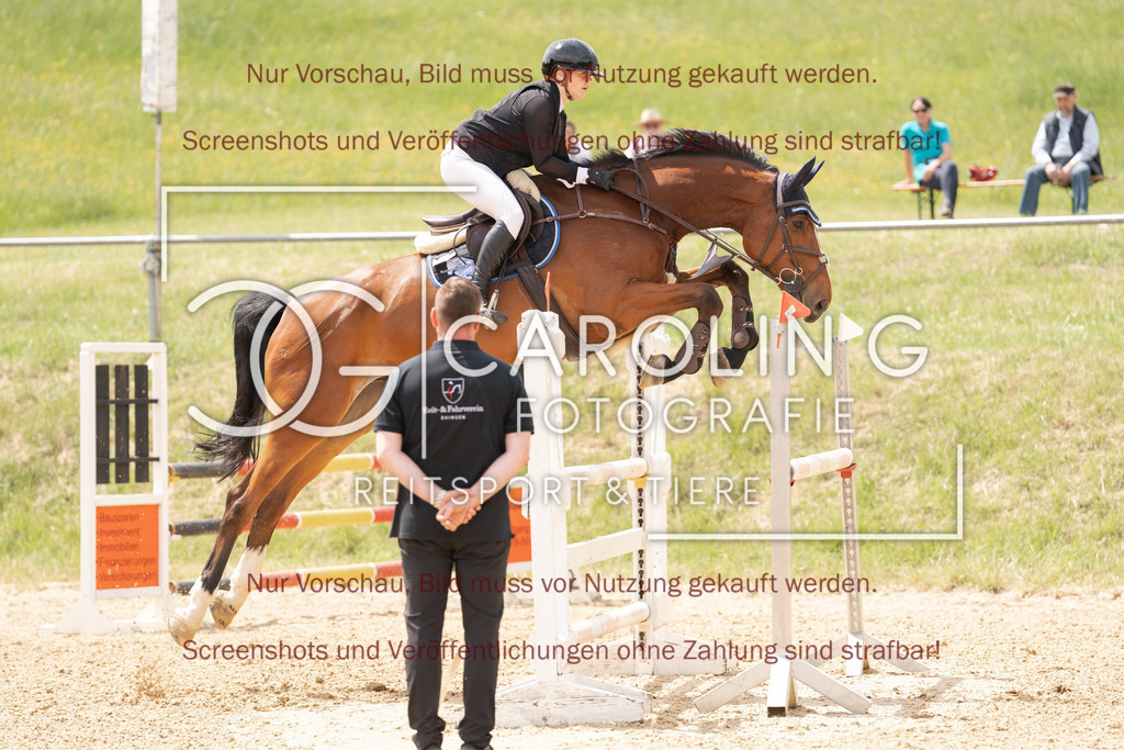 DSC06736 | Springturnier_Ehingen_Mai_2026, Mia_Kunze, Chaplis_4