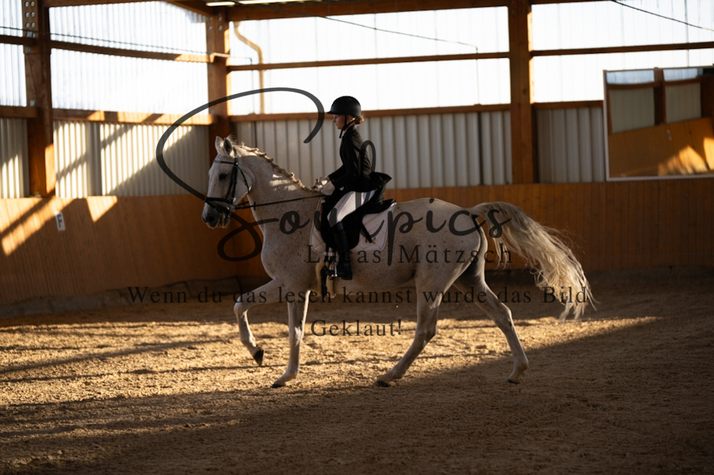 A7V01573 | Pferdefotograf