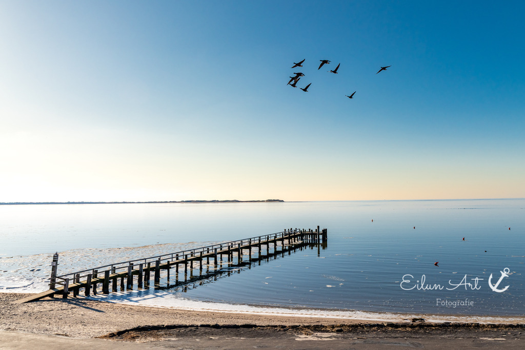 20250217-EAF_7181 | Eilun-Art-Fotografie Levke Martens, ihre Fotografin für Immobilien- und Landschaftsfotografie auf Föhr, Föhrer Motive als Poster, Leinwand, hinter Acrylglas oder stelle dir deinen eigenen Monatskalender zusammen, mit nur einem Klick