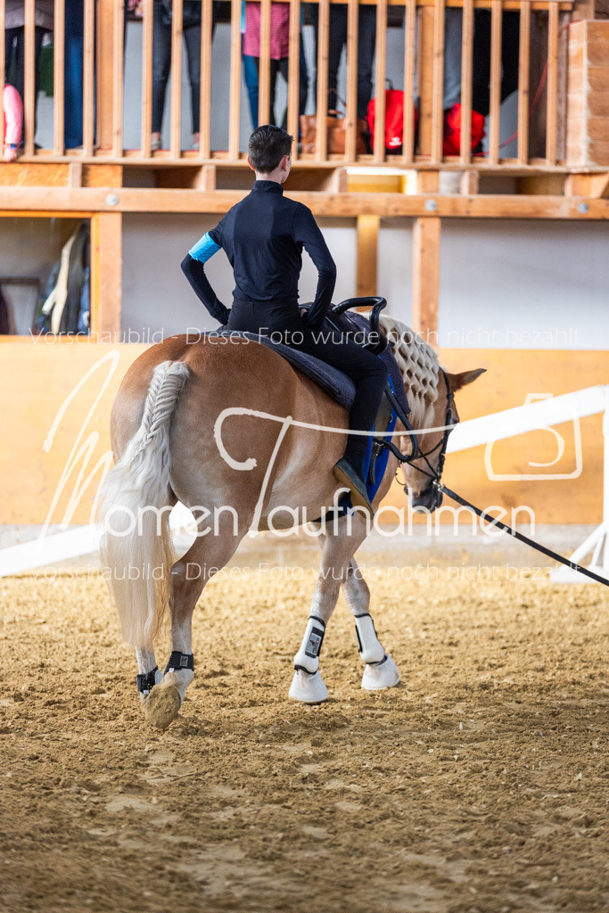 SS-Mini-052 | MomenTaufnahmen Pferdesportfotos