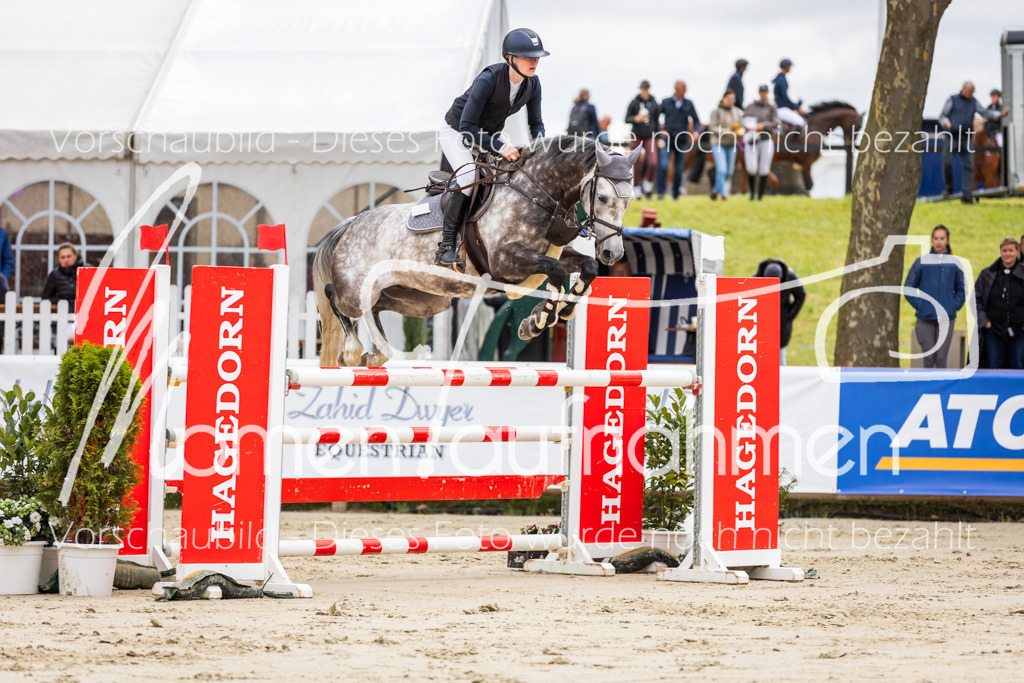 BHO-2PhSpr-M-5-2256 | MomenTaufnahmen Pferdesportfotos