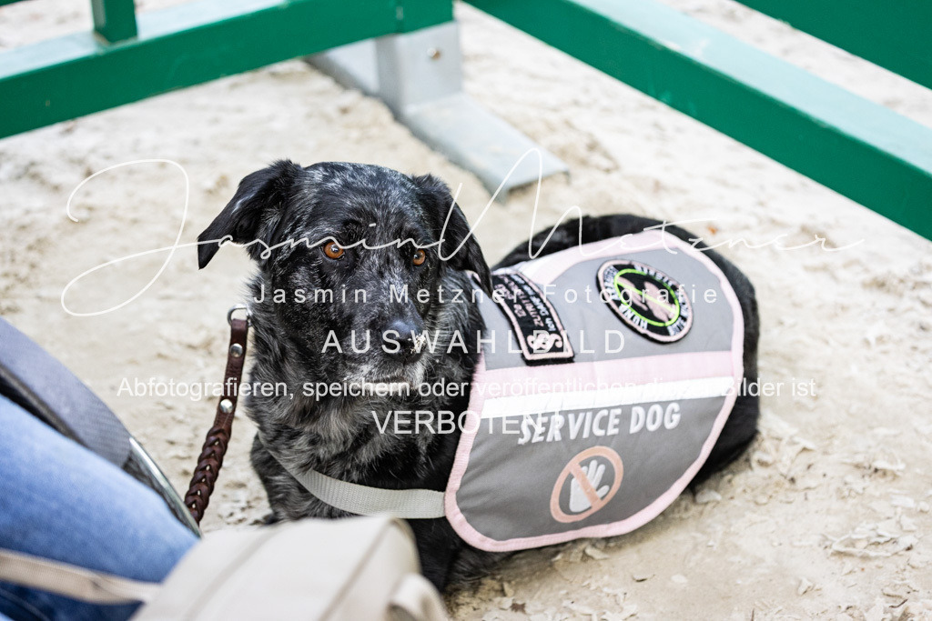 126A9907 | jasminmetznerfotografie