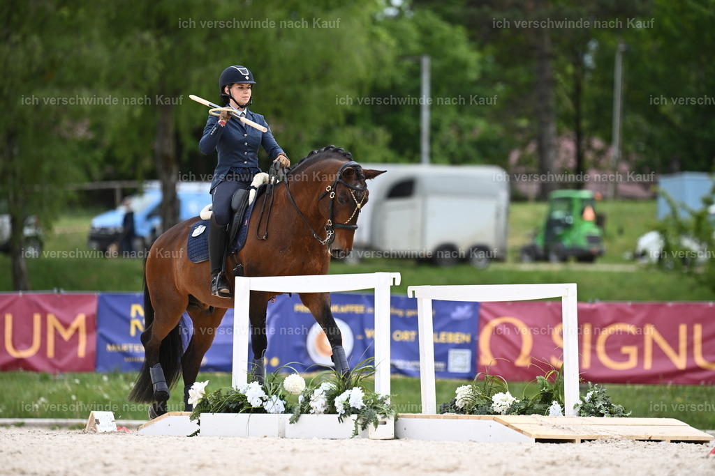 PI26_ST_Sara_Landvogt226_4088.JPG | working equitationturnier fotograf videograf stoibphotography marixx film working equitation deutschland reitsport turnierfotografie eventfotografie equestrian events