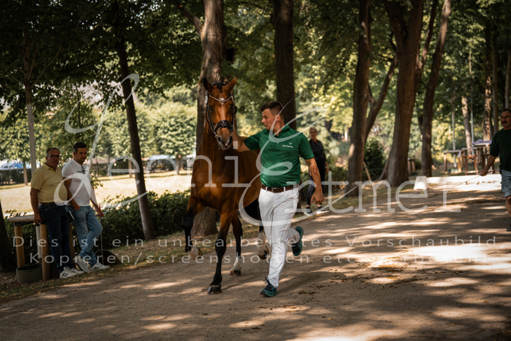 FrPfM00220 | Leoni Ertmer Photography - Realisiert mit Pictrs.com