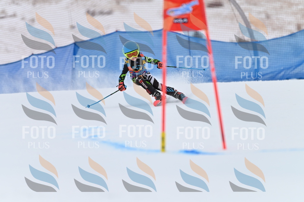 BGV_2111 | holidayphoto