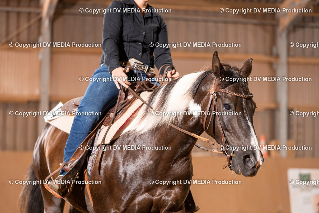 Losheim Tag 2-272 | dv-media-shop - Realisiert mit Pictrs.com