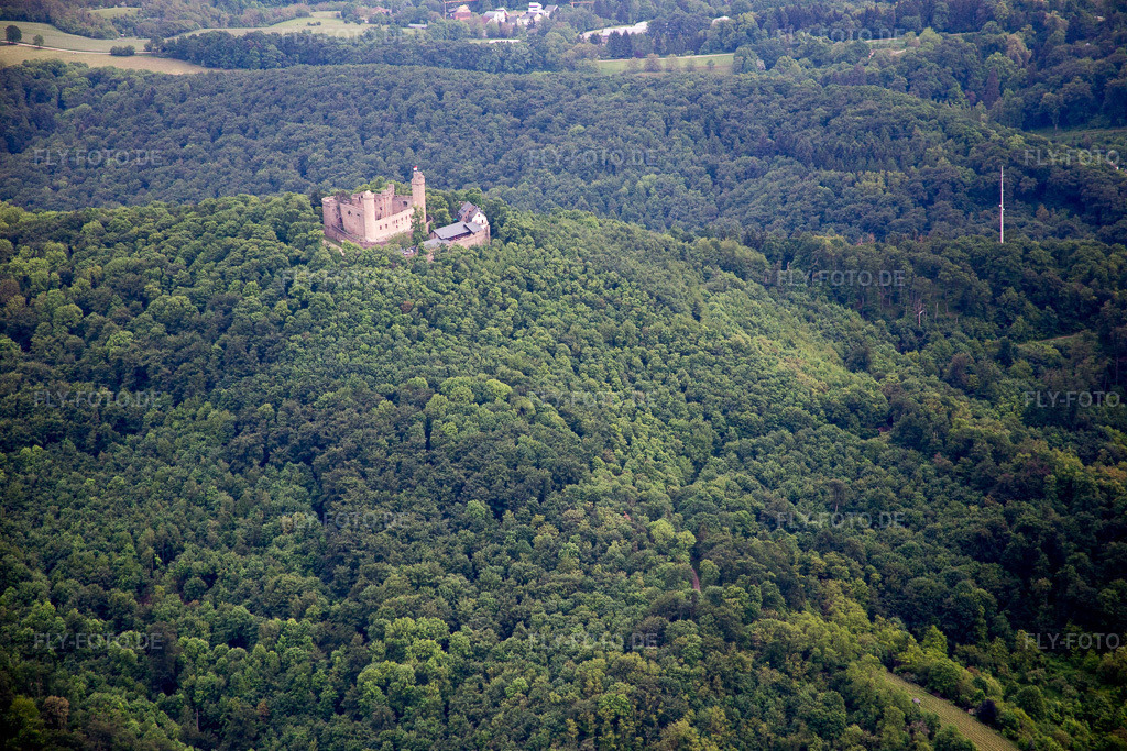 Luftbild: Auerbach, Auerbacher Schloß im Ortsteil Auerbach in Bensheim im Bundesland Hessen in Deutschland. Foto: IMG_088958.jpg vom 20.05.2016 durch Werner Riehm/FLY-FOTO.de
