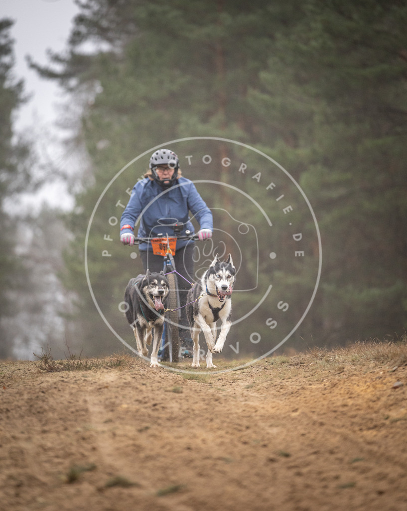 Pfotenfotografie_DV3A1196 | Hundefotografie, Tierfotograf, Pfotenfotografie, Fotoshooting Hund, Hunde Portrait, Hundesport, Hundeportraits, Heideshooting, Hunde, Sportfotograf, Hundefotograf, Turnierhundsport, THS,  - Realisiert mit Pictrs.com