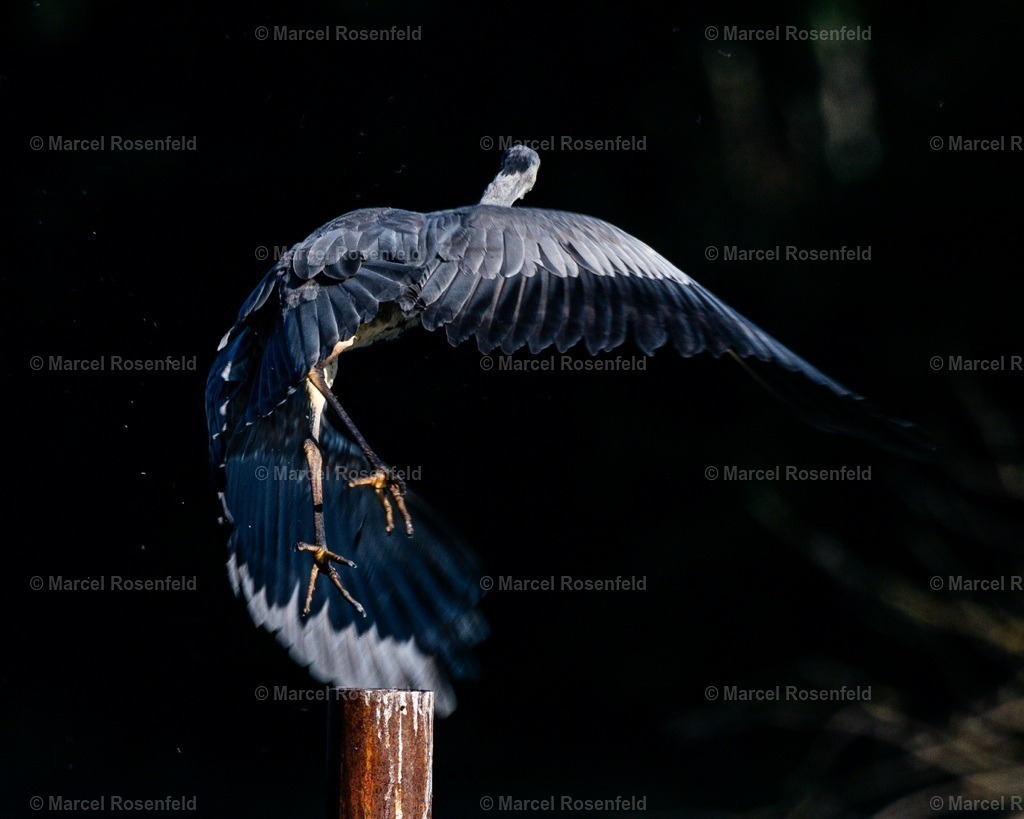 20241013_153143 | foto-rosenfeld