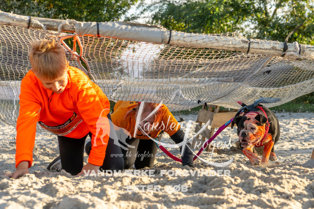 1656_ZZ90301 | kk-dogfotos