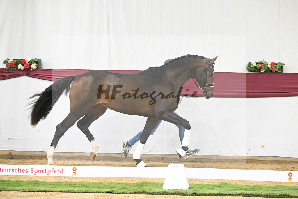 Kat-Nr. 13 Escaneno x De Niro-Christoph Wahler_47250211 | hf-fotografie - Realisiert mit Pictrs.com