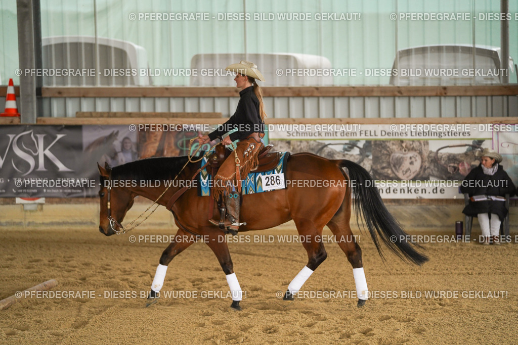 DSC04501 | Pferdegrafie