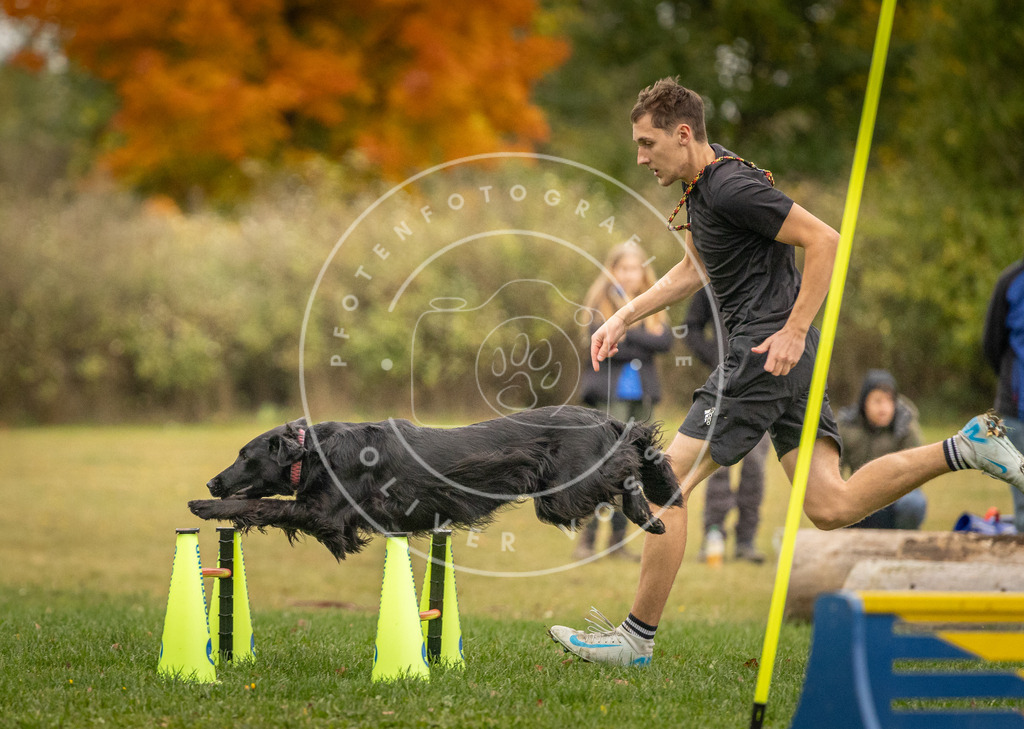Pfotenfotografie_DV3A7670 | Hundefotografie, Tierfotograf, Pfotenfotografie, Fotoshooting Hund, Hunde Portrait, Hundesport, Hundeportraits, Heideshooting, Hunde, Sportfotograf, Hundefotograf, Turnierhundsport, THS,  - Realisiert mit Pictrs.com