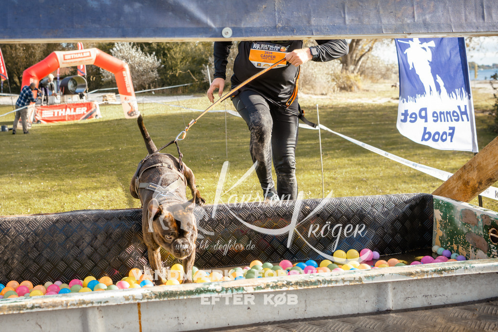 1501_ZZ95698-2 | kk-dogfotos