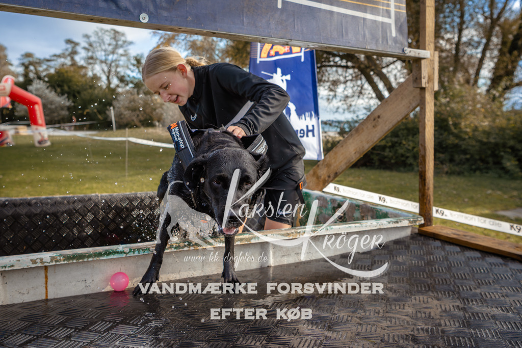 1552_ZZ97387 | kk-dogfotos