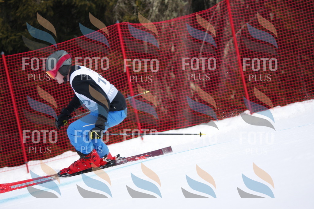 D7864 | holidayphoto