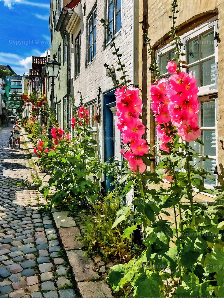 PDM2_2873_FL_OS-Gang_75x100 | DIGITALKUNST. Sommer in Flensburg - Stockrosenblüte. __ Oluf-Samson-Gang am Hafen-Westufer. Stockrosen blühen vor den Fassaden der historischen Häuschen. - Realisiert mit Pictrs.com