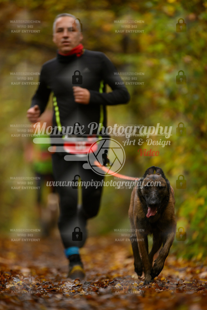 MompixPhotography_CD7S_DI_CCL-108 | mompixphotography