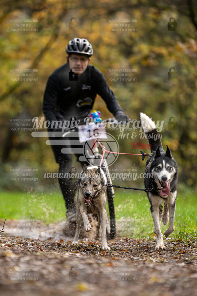 MompixPhotography_Bischwiller23_DS2-14 | mompixphotography