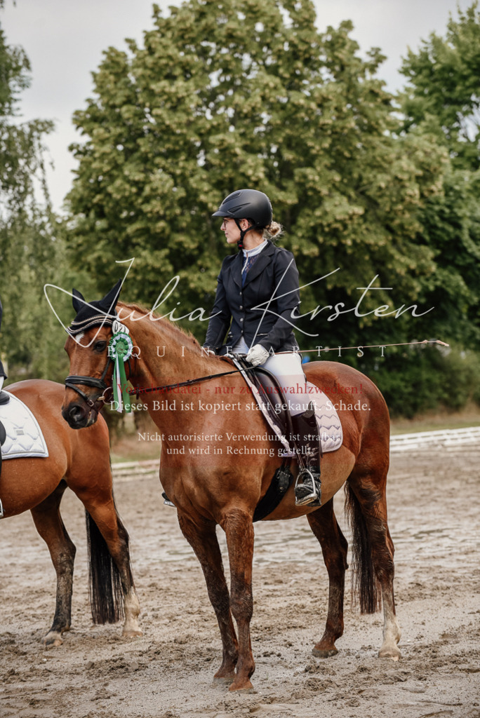 DSC_9379 | Pferde- und Turnierfotografie in Westsachsen. Pferdeportraits, Auftragszeichnungen und intuitive Kunst.