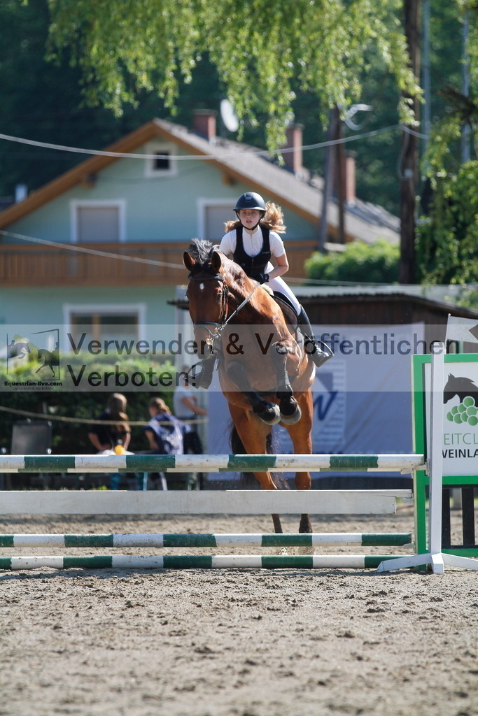 _MG_8333 | equestrian-live-com