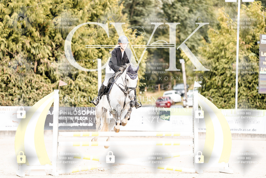 CK901849 | Turnierfotografie Pferdefotografie Trier Rheinland-Pfalz Pferdesport Reitsport Tierfotografie Sportfotografie Pferdevideo Pferdevideografie Equestrianvideography equestrianphotography  - Realisiert mit Pictrs.com