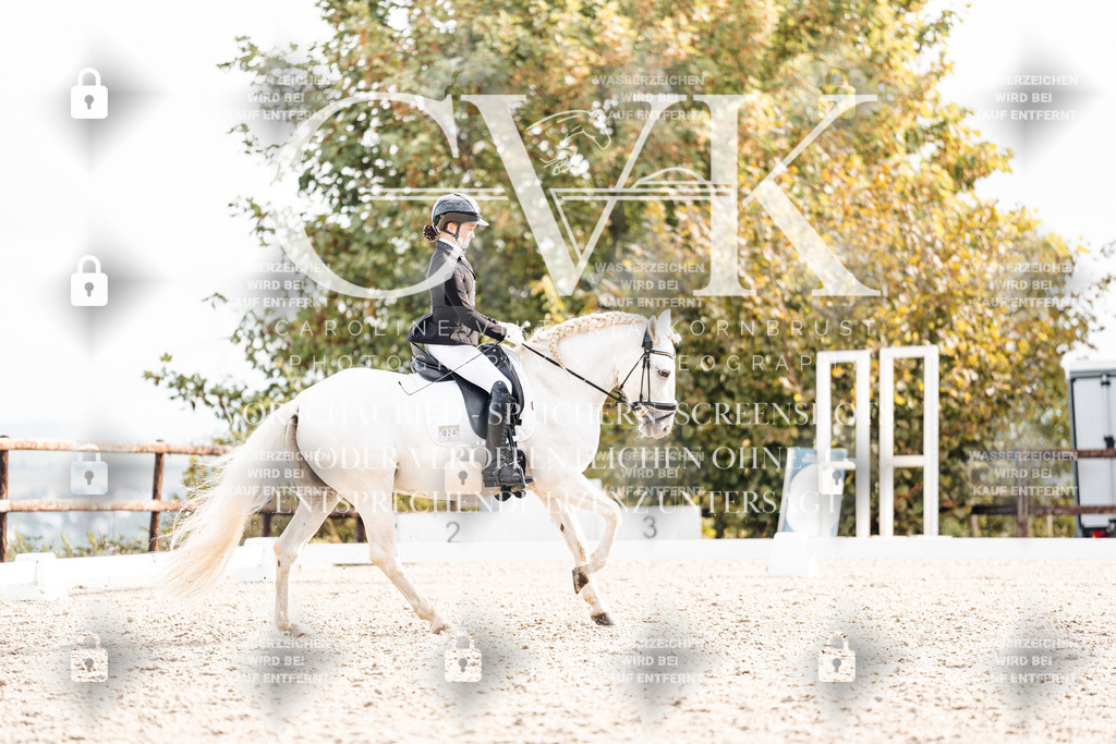 CK901219 | Turnierfotografie Pferdefotografie Trier Rheinland-Pfalz Pferdesport Reitsport Tierfotografie Sportfotografie Pferdevideo Pferdevideografie Equestrianvideography equestrianphotography  - Realisiert mit Pictrs.com
