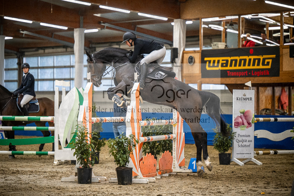 DOS_B1111 | Entdecke hochwertige Reitturnierfotos von Foto Oger. Professionell, emotional und authentisch – jetzt Lieblingsmomente im Shop bestellen.Deutschlandweite Turnierfotografie. - Realisiert mit Pictrs.com