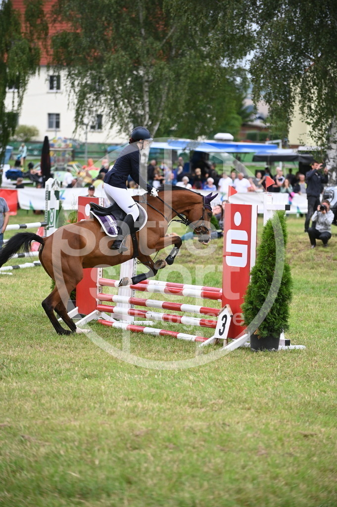 DSC_0742 | sattelsport - Realisiert mit Pictrs.com