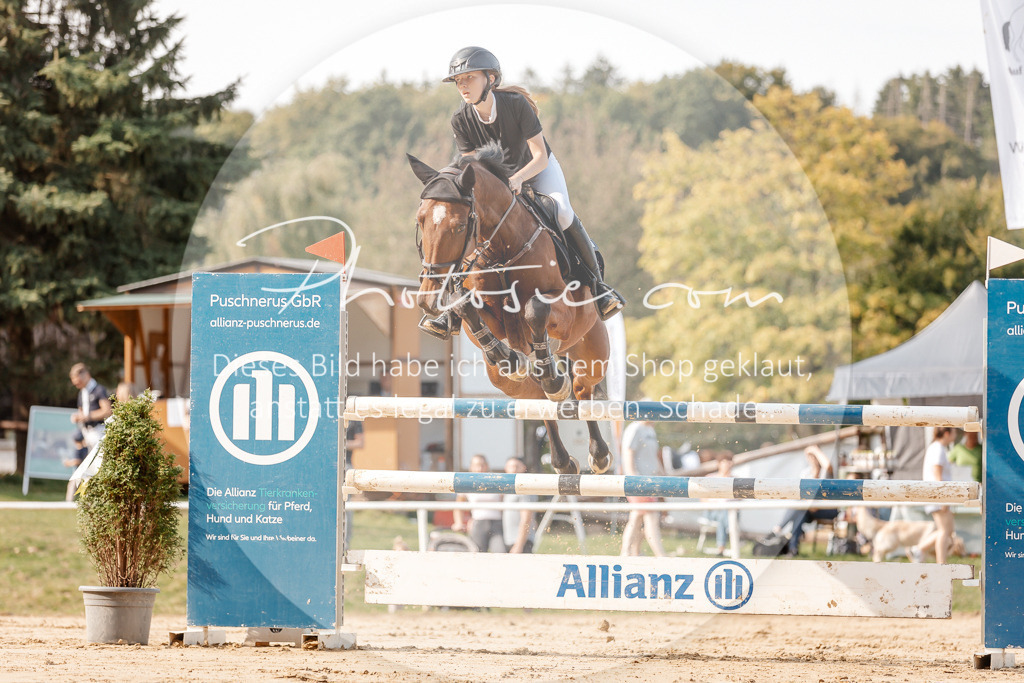 3I6A4756 | Stimmungsvolle Portraits und Reitsportfotografie im Ruhrgebiet und im Münsterland.

Pferdefotografie, Hundefotografie, Tierfotografie, Reportagen, Portraits von Tier und Mensch, Turnierfotografie in Bochum, Recklinghausen, Marl, Haltern am See, Dülmen.. - Realisiert mit Pictrs.com