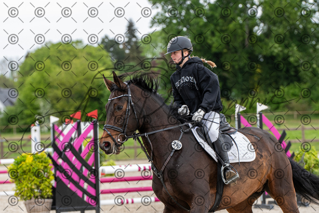 KPT_7846 | andre_photographic