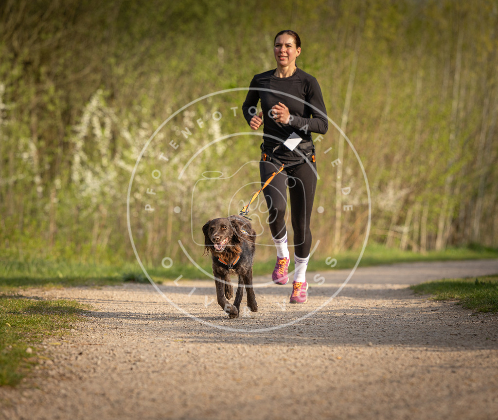 Pfotenfotografie_DV3A4609 | Hundefotografie, Tierfotograf, Pfotenfotografie, Fotoshooting Hund, Hunde Portrait, Hundesport, Hundeportraits, Heideshooting, Hunde, Sportfotograf, Hundefotograf, Turnierhundsport, THS,  - Realisiert mit Pictrs.com