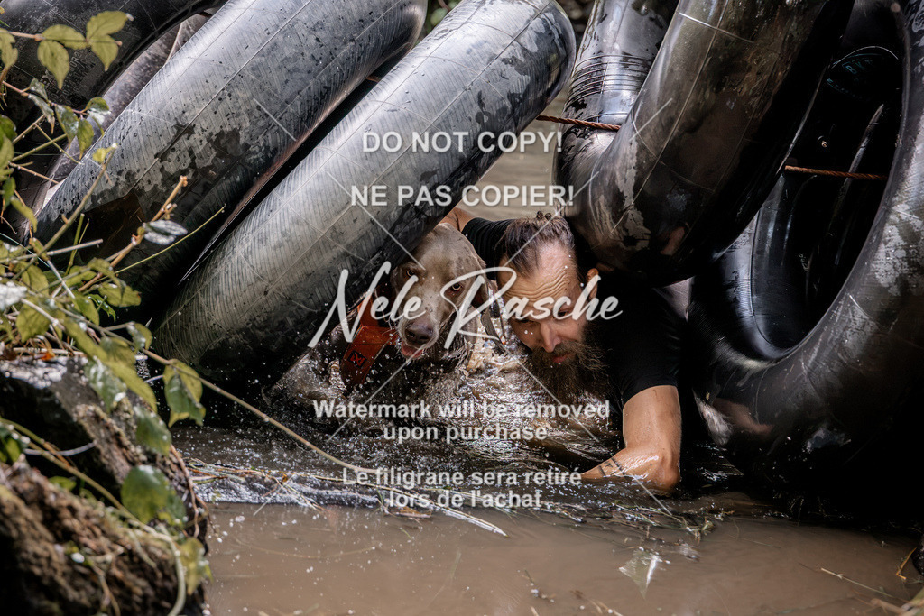 nelerasche_Hunsrück2026_Sa1400-1500_283 | nelerasche