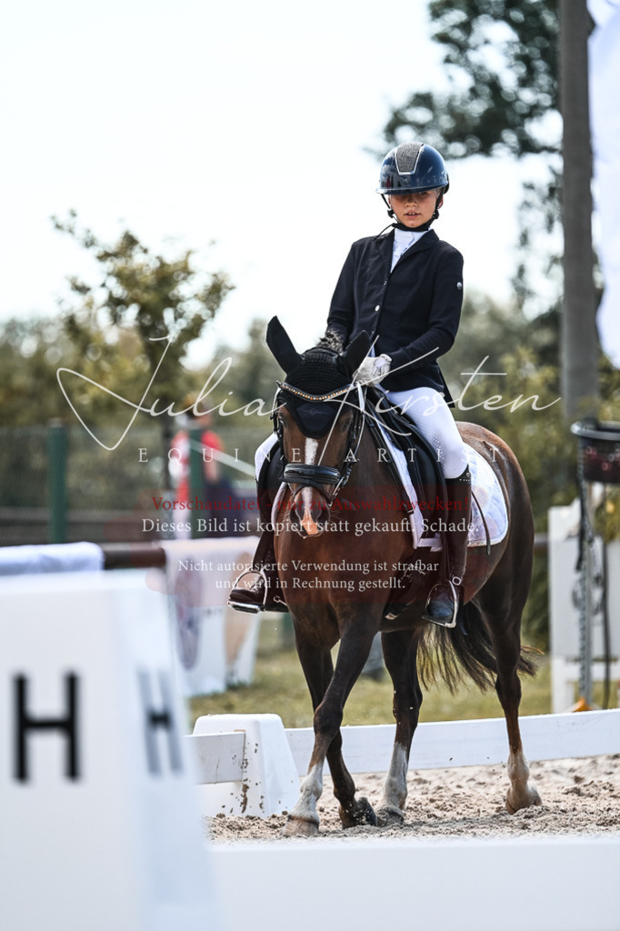 DSC_5722 | Pferde- und Turnierfotografie in Westsachsen. Pferdeportraits, Auftragszeichnungen und intuitive Kunst.