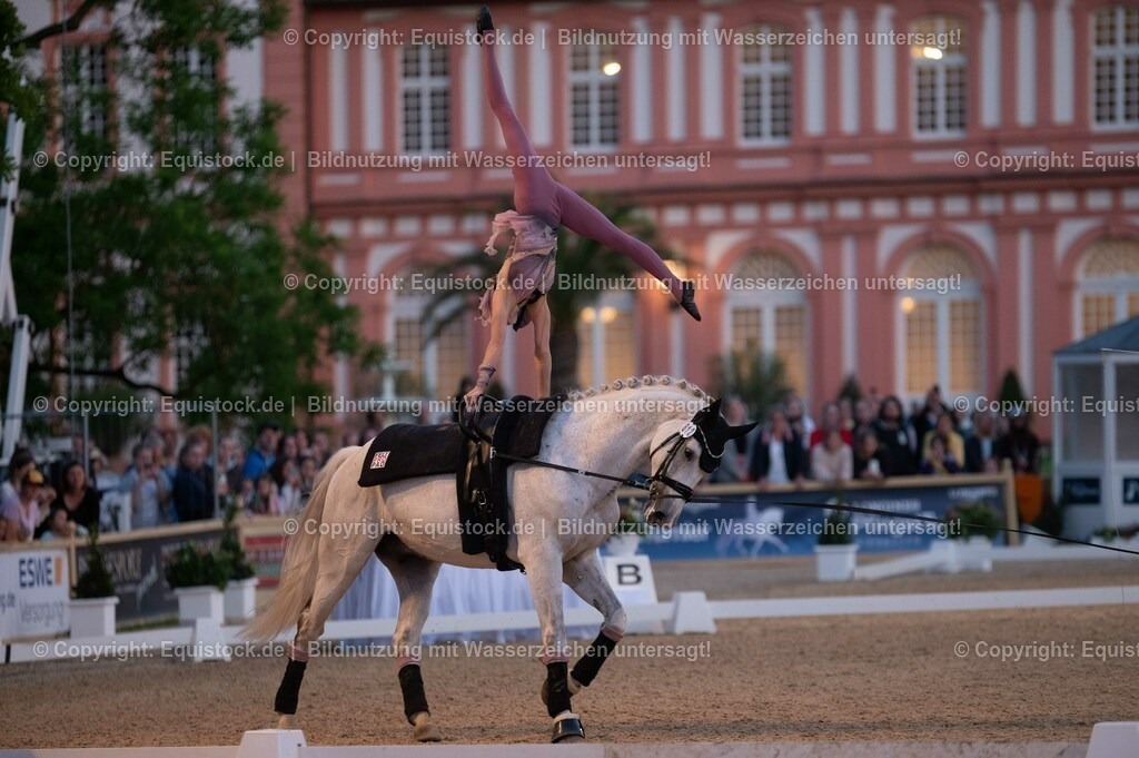 20230527_Voltigieren_NASPA_Flutlicht_0361 | equistock