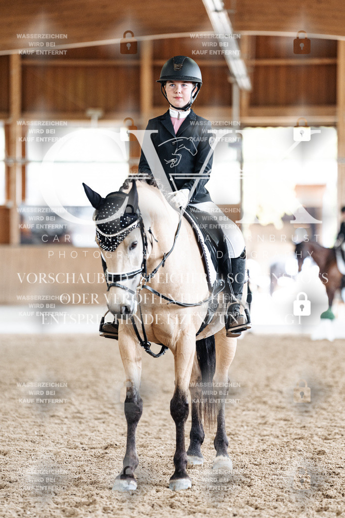 CK901598 | Turnierfotografie Pferdefotografie Trier Rheinland-Pfalz Pferdesport Reitsport Tierfotografie Sportfotografie Pferdevideo Pferdevideografie Equestrianvideography equestrianphotography  - Realisiert mit Pictrs.com