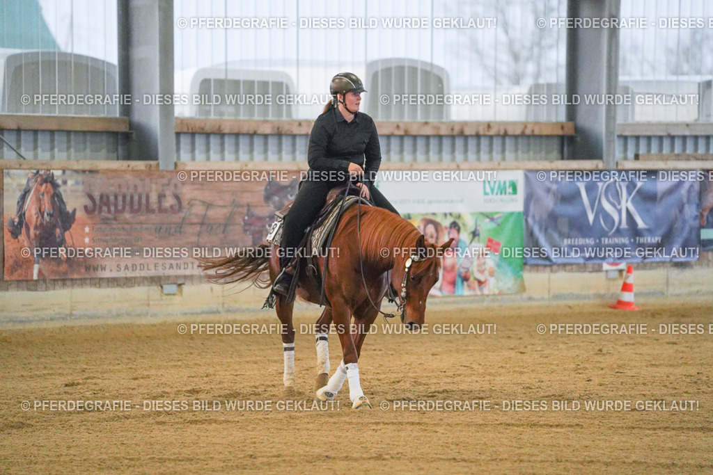 DSC09327 | Pferdegrafie