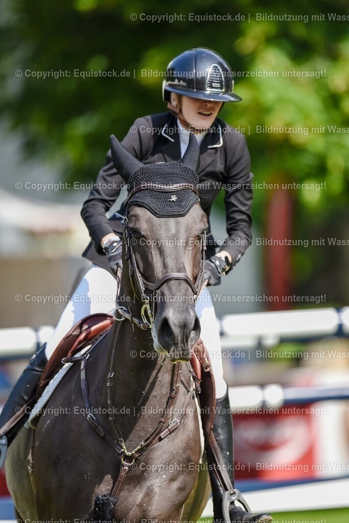 20250609_20_Longines_GP_Wiesbaden_0149 | Foto: Thomas Hartig