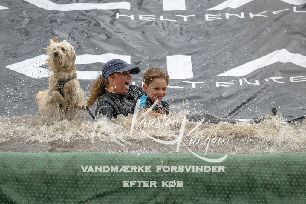 1547_ZZ90689 | kk-dogfotos