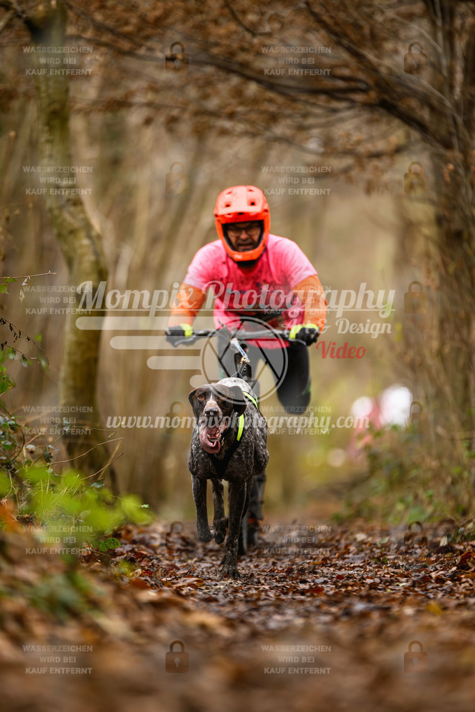 MompixPhotography_Eschau2024_DS1-2 | PayLife