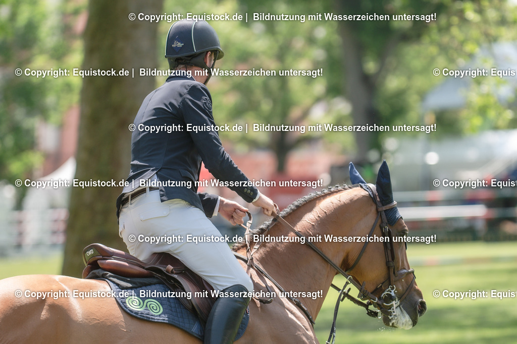 20230527_12_CSI4_Pfungstädter_0039 | equistock