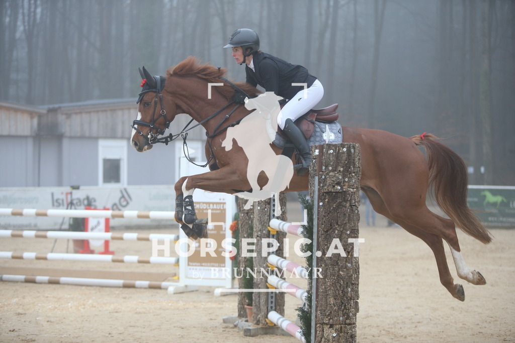 PP012409 | Willkommen bei Brunnmayr - Design & Fotografie – Ihrem Spezialisten für Reitturniere und Pferdeveranstaltungen in Oberösterreich, Salzburg und Bayern! Seit über 17 Jahren sind wir leidenschaftlich dabei.