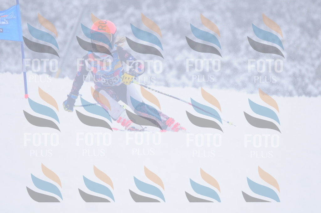 C2760 | holidayphoto