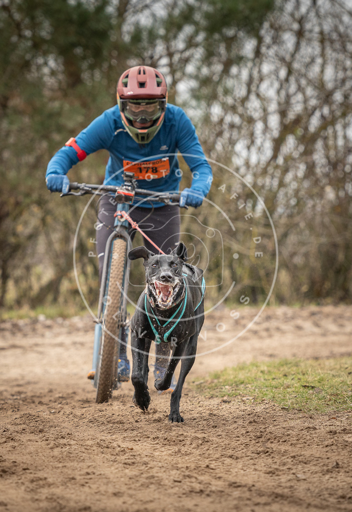 Pfotenfotografie_DV3A9532 | Hundefotografie, Tierfotograf, Pfotenfotografie, Fotoshooting Hund, Hunde Portrait, Hundesport, Hundeportraits, Heideshooting, Hunde, Sportfotograf, Hundefotograf, Turnierhundsport, THS,  - Realisiert mit Pictrs.com