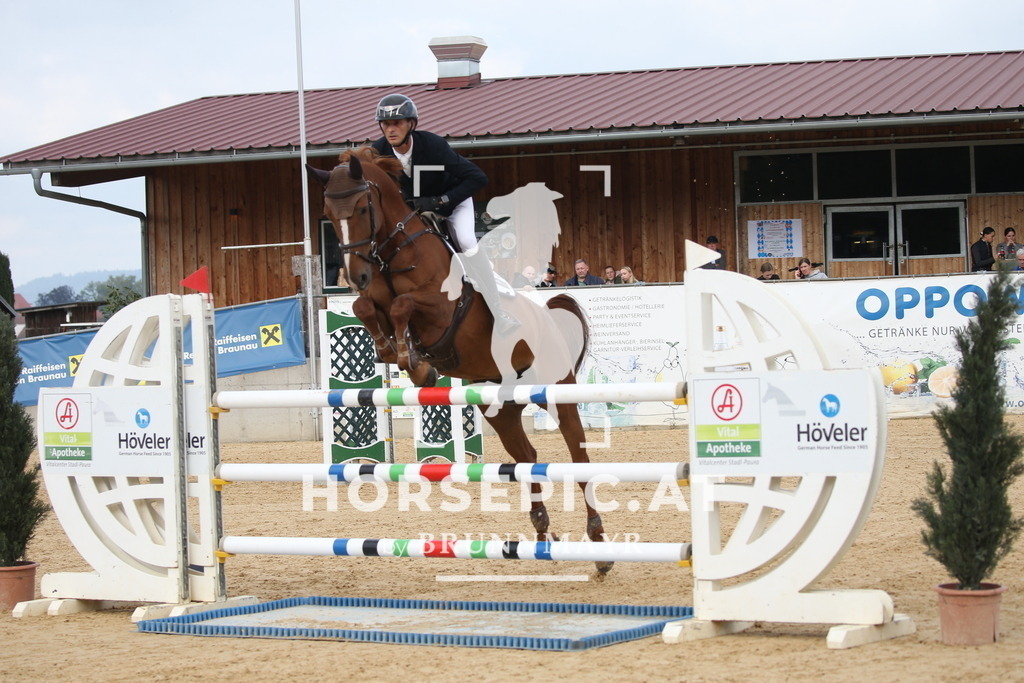 DL2Q5121 | Willkommen bei Brunnmayr - Design & Fotografie – Ihrem Spezialisten für Reitturniere und Pferdeveranstaltungen in Oberösterreich, Salzburg und Bayern! Seit über 17 Jahren sind wir leidenschaftlich dabei.