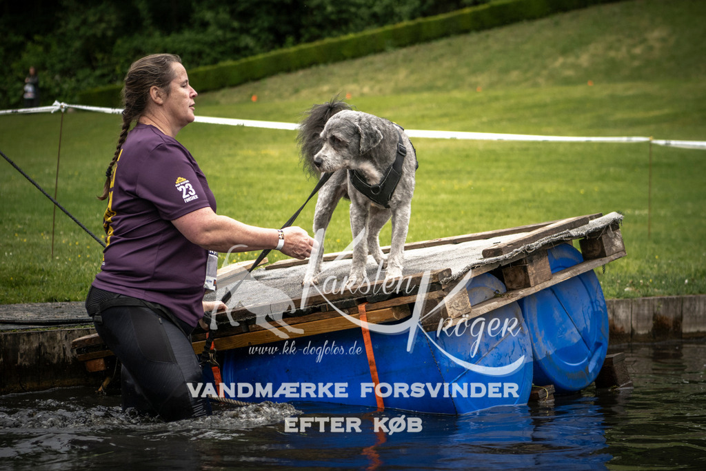 1012_ZZ94970 | kk-dogfotos