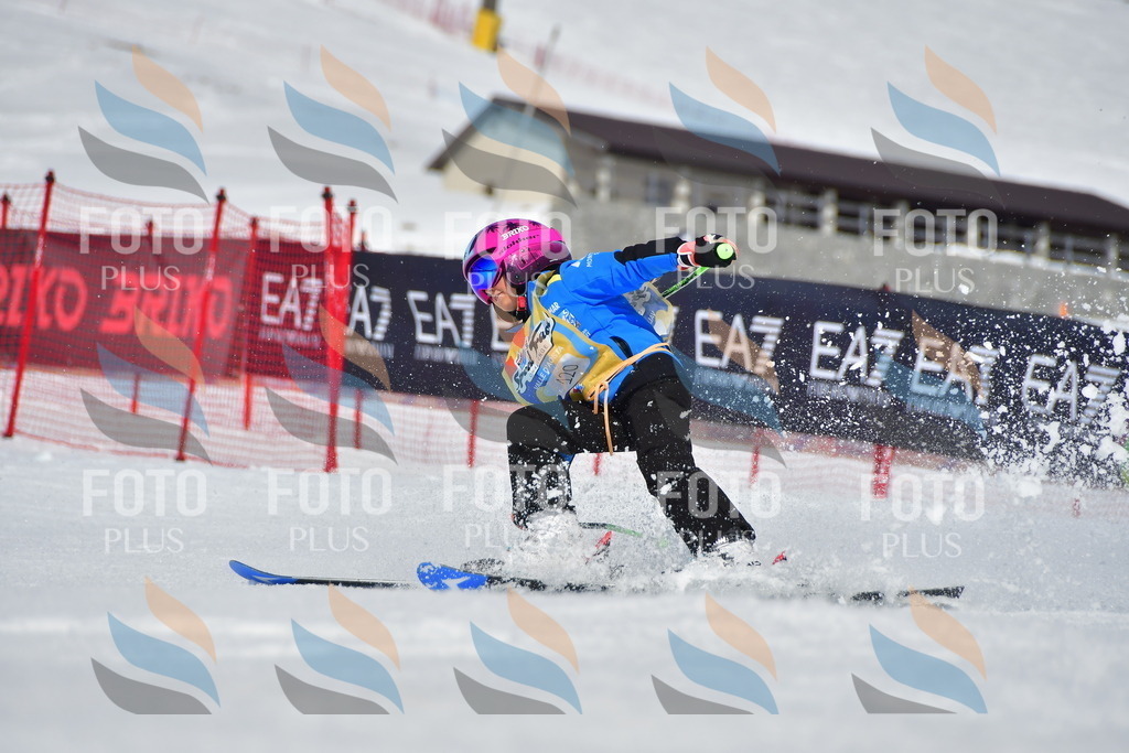 _DSC7788 | holidayphoto