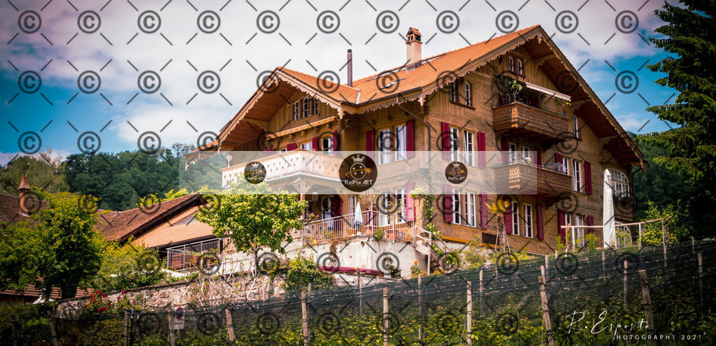 20210604_Spiez-BE_0032 | Sport und Naturfotografie von Roberto Esposito zeigt echte Momente Bewegung und die Schönheit der Natur. Ausdrucksstarke Bilder schaffen Emotionen.