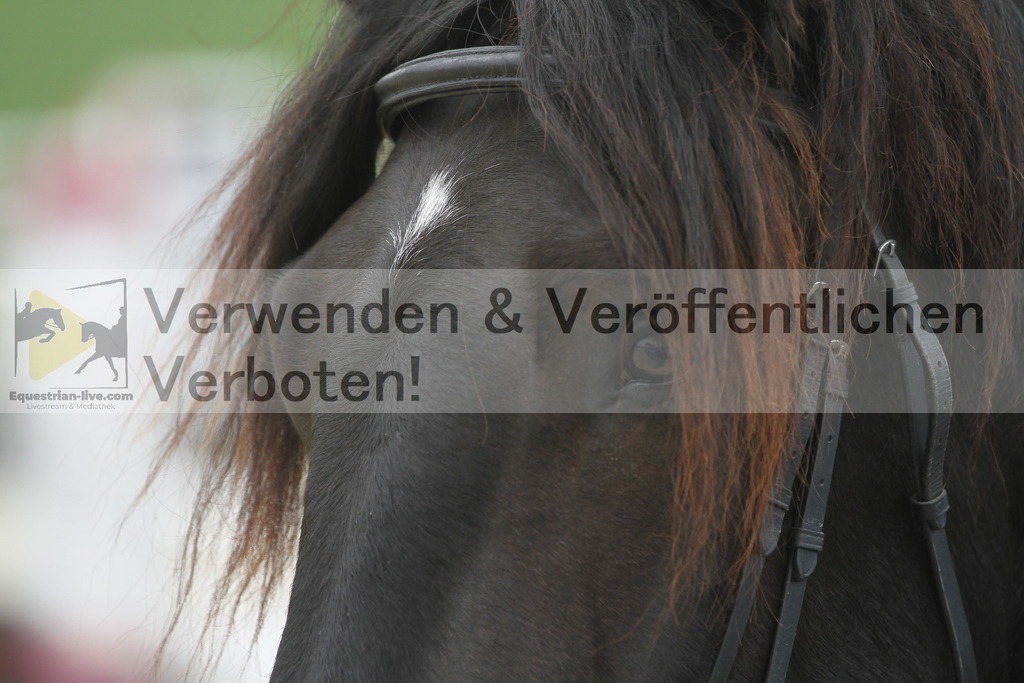 _MG_3667 | equestrian-live-com