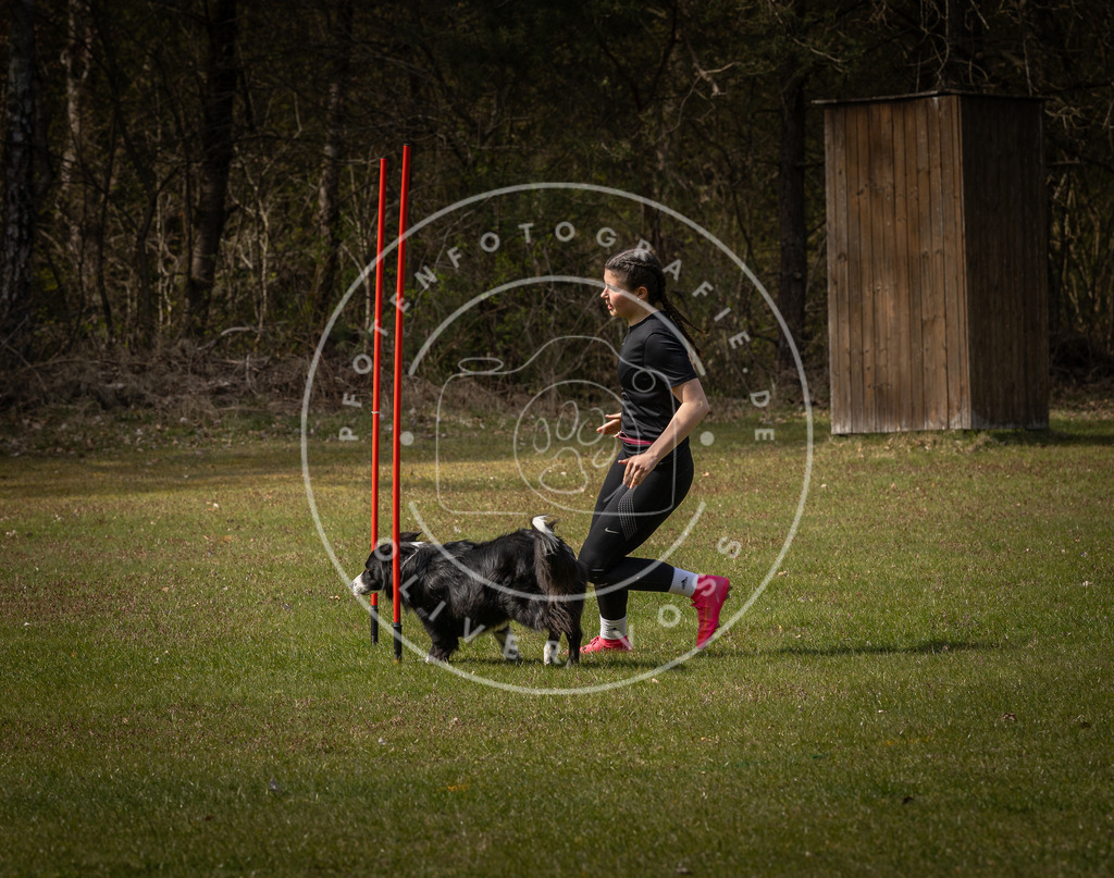 Pfotenfotografie_DV3A5049 | Hundefotografie, Tierfotograf, Pfotenfotografie, Fotoshooting Hund, Hunde Portrait, Hundesport, Hundeportraits, Heideshooting, Hunde, Sportfotograf, Hundefotograf, Turnierhundsport, THS,  - Realisiert mit Pictrs.com